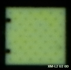tala_1.gif
